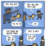 실제로 꽤 흔하다는 경찰견 <b>해고사유</b>