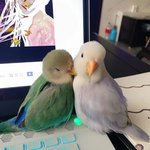 우리를 <b>방해</b>하지 마세요.jpg