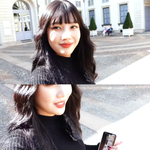 조이 배경화면은 ‘크러쉬’ 반려견