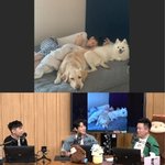 [모두드루와] 컬투쇼’ 크러쉬 “반려견이 모기 잡아줘..여름에 물릴...