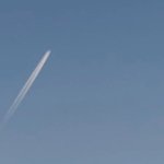 어흑.. 앨범깡 했는데 ..