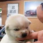 [드루와] 나ㄹㅇ커가면서 이뻐진다는말 개많이 들음