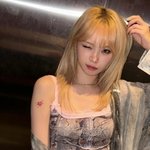 김채원vs안유진
