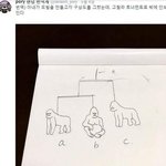 아이돌 팬들 ㄹㅇ 웃긴 점