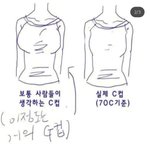 이거 그린 사람도 좀 알못 같은데