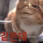 [드루와] 김태희vs황희찬 누가 더 사회적<b>지위</b>높긔?