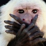 [드루와] 와 나 스카에서 앞담? 들었음ㅋㅋ