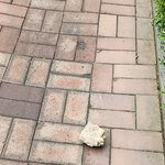 충격!! 아파트<b>옥상</b>에서 돌 던진아이