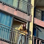 정은지 인스타 업뎃(<b>ft</b>.낮과밤이다른그녀)