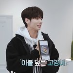 [<b>TXT</b>] 고양이가 고양이를 만드네