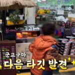 알베가 인정한 한국 피자