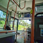 [일본] 나 오키나와 혼자 여행왔어