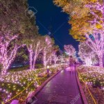 겨울에 <b>LED</b>조명 다는거 좋아하는사람있냐..