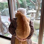 몸은 컸어도 아직 아기라구요