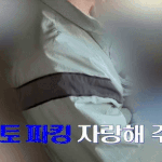 르노코리아 페미 메갈 <b>제스처</b> 논란 재점화, 이다은 리포터디 개인신상...