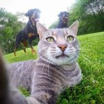 [추반] 얘들아 <b>새벽기념</b> 모든 이상형 추반 하자 ㄱㄱ