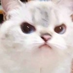 아