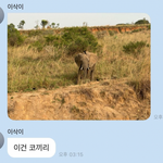 우간다 홍보대사 같다는 <b>홍이삭</b> 버블