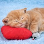 자 종강할 <b>때</b>까지 커<b>뮤</b>를 다 끊어볼게요