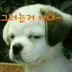 글이 사라지는마법!!