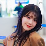 귀여움+귀여움은 세상을 구한다