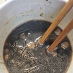 짜장라면 <b>반대</b>로 끓임