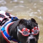 [<b>오프리</b>쉬] ⚠️ <b>오프리</b>쉬가 일상인데 <b>오프리</b>쉬 뜻을 모르는 아메리칸...