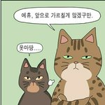 경계선<b>지능</b> 질문받음