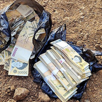 밭에서 돈이 나왔어요.