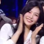 레드벨벳 조이