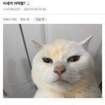 [댓글부탁해] 얘들아 나 <b>질문</b>잇음