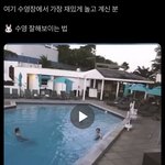 데이<b>식스</b> <b>이</b> 영상 뭐야??