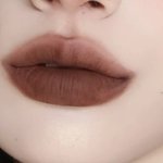 [댓글부탁해] 얘들아 브라운 립 아는 <b>판녀</b> 있냐