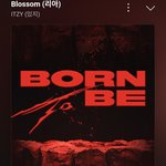 [모두드루와] 있지 리아 솔로곡 <b>blossom</b>
