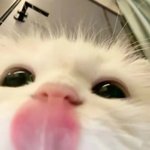 [드루와] 짝남이 아이유랑 <b>츄</b> 팔로우 하고 있으면