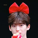 당신의 댕댕이에게 <b>투표</b>하세요