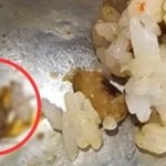 많아 어쩔 수 없어"… 음식서 바퀴벌레 나왔는데 <b>업주</b> 황당 답변