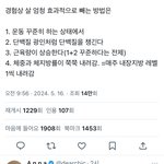 경험상 살 엄청 효과적으로 빼는 방법은 <b>twt</b>