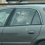 와 방금 <b>차안우</b> 봄