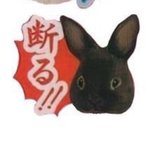 일본어 이거 뭐라는<b>고임</b>?