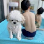 [드루와] 피부 잘<b>알들</b> 들어와봐