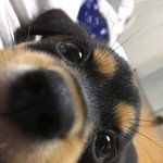 <b>미역</b>줄기 오ㅑㄹ케맛있냐