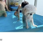 샤워하고 머리 <b>두피</b>만 말리는데도