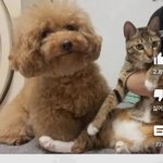 [드루와] 이번에 쯔양사건보고 남친몰카