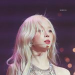 21세기 최고의 <b>힐링</b>짤이다