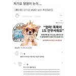 [댓글부탁해] <b>외모집착</b>이 ㅈㄴ 쓸데없는 짓인게