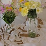얘들아 너네 우리나라 삼둥이 초6<b>인거</b> 아냐