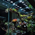 내 방에서 만나는 <b>대자연</b>