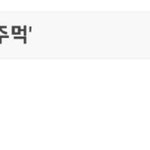 송지효 <b>악플러</b>