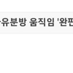 에이핑크 손나은 <b>악플러</b>
